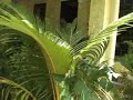 Seychelles - Georginas Guesthouse