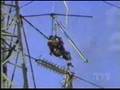 Hang Glider Strikes Powerlines
