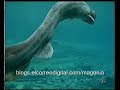 Sensacionalismo clim�tico II: el ataque del tibur�n anguila
