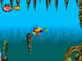 Crash Bandicoot XS: Jefe Dingodile