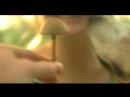 dog-m2-test.html