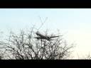Lufthansa Aborted Landing (Heathrow)