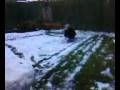 Jade Rolling A Snowball