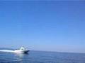 Bertram 25 sportfisher cruising