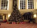 It's Beginning To Look A Lot Like Christmas