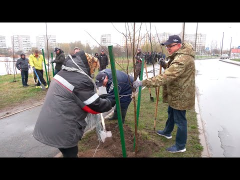 В регионе прошёл республиканский субботник видео