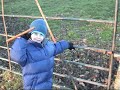 Geocaching Adventure - Magical Mystery Tour GC1K67X