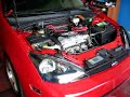 Powerworks Dyno SVT Focus