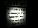 Marlboro Lights Marlboro Lights