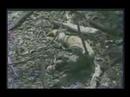 Flight 5055 Crash Reportage - Polish Language (Part 2/3)