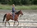 Horse Ride