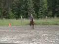 Horse Ride