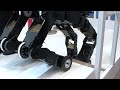 Robot Guide Dog