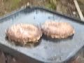 Cooking Steaks And Burgers On My Rocket Stovecooking Steaks And Burgers On My Rocket Stove