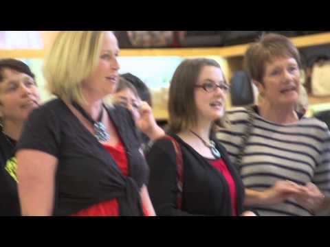 Palmerston North - Ukulele/Choir flash mob at The Plaza, Palmerston North on 29th Sept 2012. Thanks also to Ink Post and Strandbags.