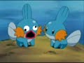 BEHOLD THE POWER OF THE PSYCOPATH MUDKIP!

HE WILL KILL US ALL!
OMG OMG!

THE PET OF CHUCK NORRIS! OH NOES!
O_O

---
Comments plz? XD
---

Edit 09/22/2008 - 16:52 PM (UTC -3)

Wow! 1636 views! I wasn't expecting such public approval for this video!

Thanks for everything guys!

P.S.: Do you guys want me to create another video like this? (It doesn't need to be pokémon themed XD) I don't have ideas, so I'm asking you^^'

Edit 12/10/2008 - 04:37 PM (UTC -3)

Numbers keep climbing!
4508 views! In less than 6 months!

Thanks again for all the support!
^^