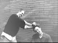 Flema-recordandote