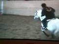 videos de alfons & julia 2008