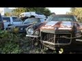 Left to rot
