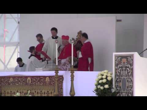La beatificazione di Don Puglisi