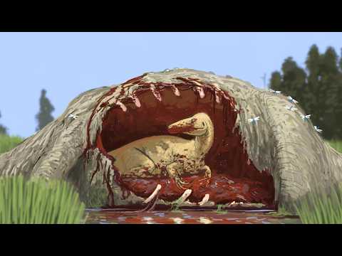 The Truth About Raptors Is Way Scarier Than You Think