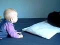 videos de elo & choops