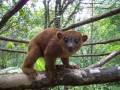 videos de Asis Project Costa Rica
