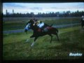 My Horses G1 jockey 4