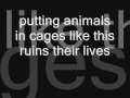 animal cruelity