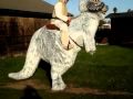 Tauntaun Costume 2009 (stabilized)