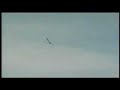 americanta   flying eagle