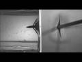 Rage Broadheads - These are awesome!!!!!!