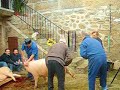 matanza en allariz