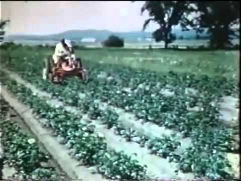 Allis - Allis Chalmers G Promo Video, showcasing many implements, many of which are not in the implement manuals. This is a digital copy of the 16MM film.