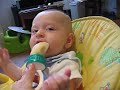 Chomping on apple