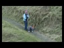 harrys-downhill.html