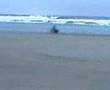 Speedway Derg Beach Racing