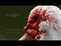 Canon EOS 5D Mark II HD Video. IN THE PARK 2