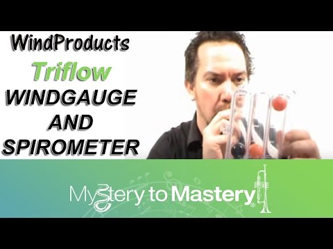 The WindGauge