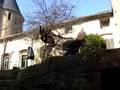 Cite de Carcassonne. France