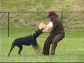 schutzhund   awdf 2004