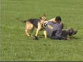 schutzhund - awdf 2004