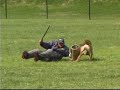 schutzhund   awdf 2004