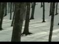 videos de Scialpinistica all'Eremo di Camaldoli
