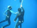 Blue Freediver 2008