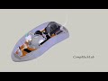 Mouse model