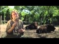 Ce que Darwin ne savait pas encore (3 sur 7) Default