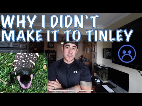 YouTube reptile video