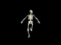 Skelly\