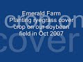 old fashion ryegrass planting in 2007